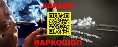 бошки Кингисепп