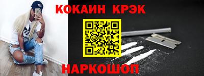 бошки Кингисепп