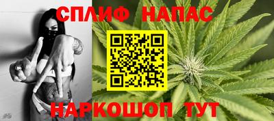 бошки Кингисепп