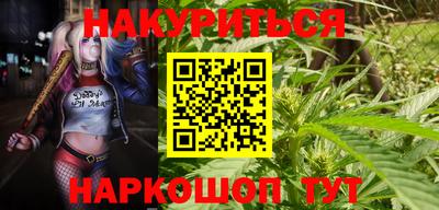бошки Кингисепп