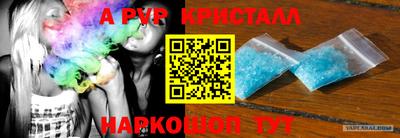 бошки Кингисепп