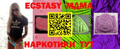 бошки Кингисепп