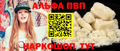 бошки Кингисепп