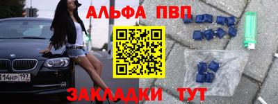 бошки Кингисепп