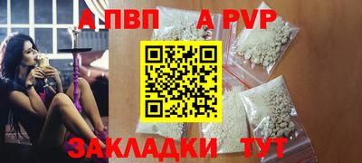 бошки Кингисепп
