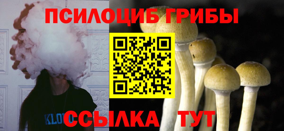 Псилоцибиновые грибы GOLDEN TEACHER Будённовск